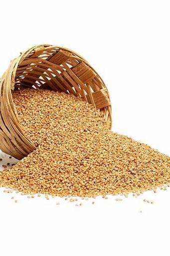 KODO MILLETS